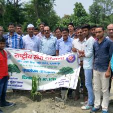 Tree Plantation