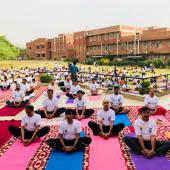 Yoga Day