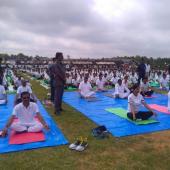 Yoga Day