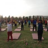 Yoga Day