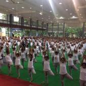 Yoga Day