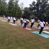 Yoga Day