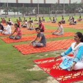 Yoga Day