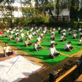 Yoga Day