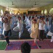 Yoga Day