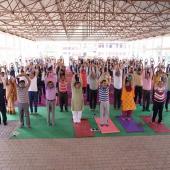 Yoga Day