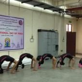 Yoga Day