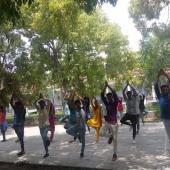 Yoga Day