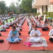 Yoga Day