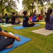 Yoga Day