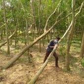 Cyclone Amphan