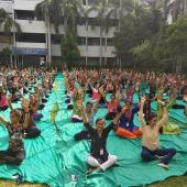 Yoga Day
