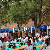 Yoga Day