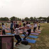 Yoga Day