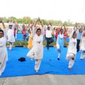 Yoga Day
