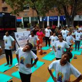 Yoga Day