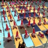 Yoga Day