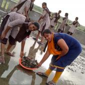 Swachhta Pakhwada