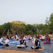 अंतरराष्ट्रीय योग दिवस 2023