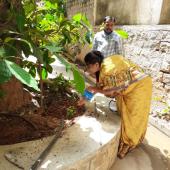 Environment Day 