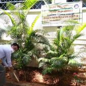 Environment Day 