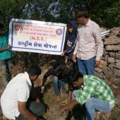 Environment Day 