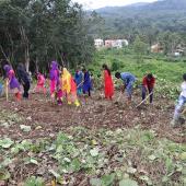 Swachhta Pakhwada