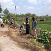 Environment Day 