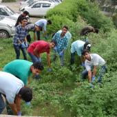 Swachhta Pakhwada