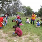 Swachhta Pakhwada