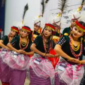 North East Youth Festival - 2026