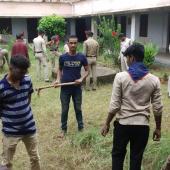 Tree Plantation