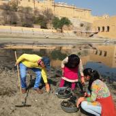 Swachhta Pakhwada