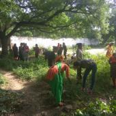 50th NSS DAY
