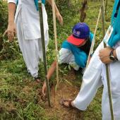 World environment day 5th June 2019