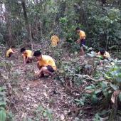 World environment day 5th June 2019