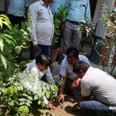 World environment day 5th June 2019