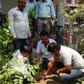 World environment day 5th June 2019