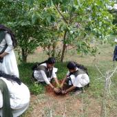 World environment day 5th June 2019