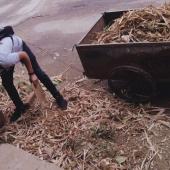 World environment day 5th June 2019