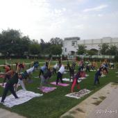 5th International Day of Yoga 2019