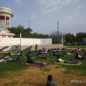 5th International Day of Yoga 2019