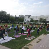 5th International Day of Yoga 2019