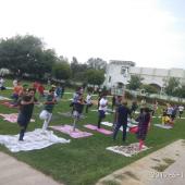5th International Day of Yoga 2019