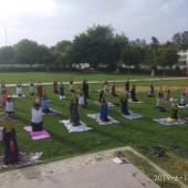 5th International Day of Yoga 2019
