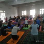5th International Day of Yoga 2019