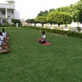 5th International Day of Yoga 2019