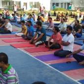 5th International Day of Yoga 2019