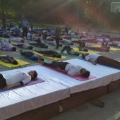 5th International Day of Yoga 2019