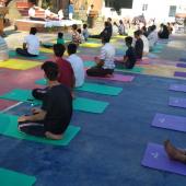5th International Day of Yoga 2019